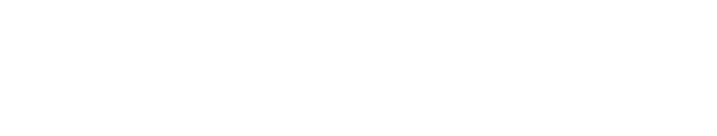 DealerMAX
